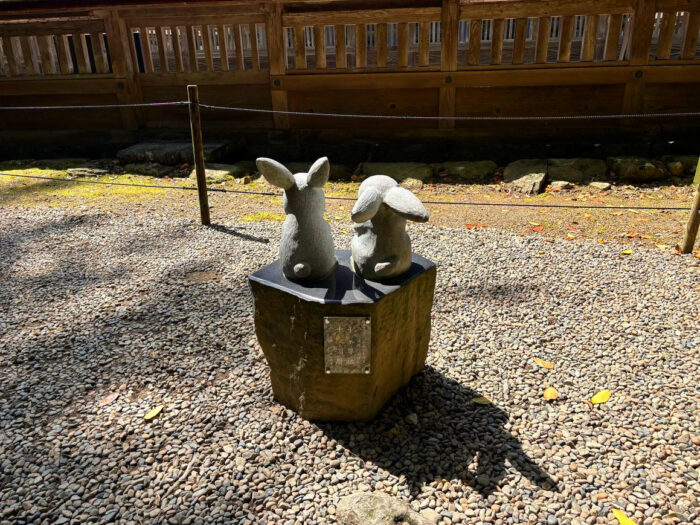 うさぎ後ろ姿