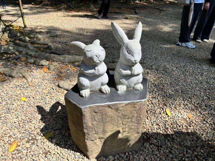 うさぎ前